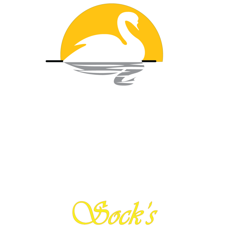 Swan Viara